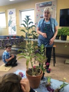 Plant Classroom
