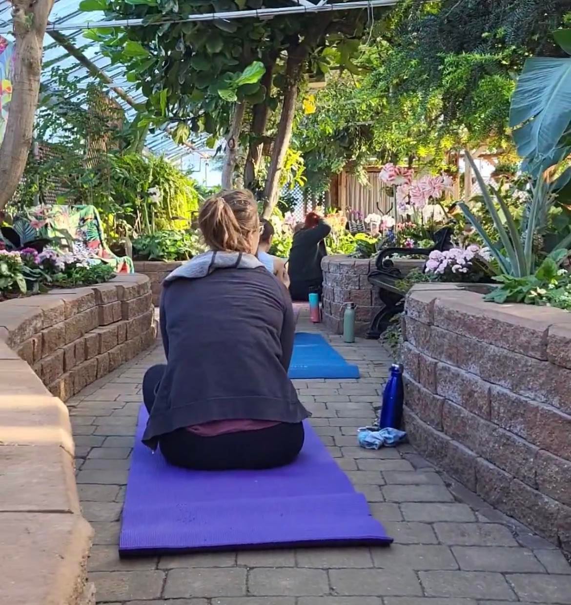 yoga at the conservatory